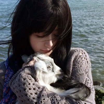 陆小凤与花满楼
